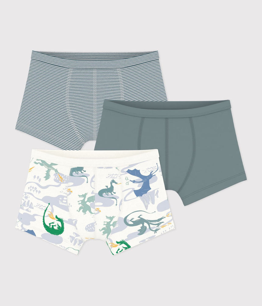 PACK OF CHILDREN'S DRAGON PRINT COTTON BOXERS WITH COVERED WAISTBANDS