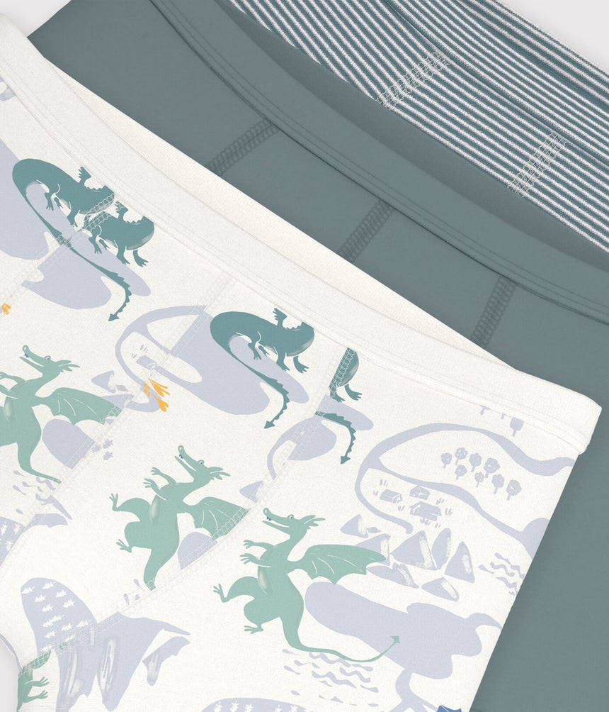 PACK OF CHILDREN'S DRAGON PRINT COTTON BOXERS WITH COVERED WAISTBANDS